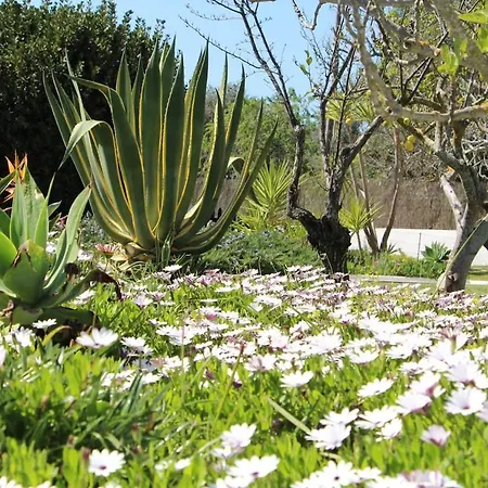 Casa Azul And Peaceful Garden Oasis * Armação de Pêra