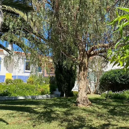 Casa vacanze Casa Azul And Peaceful Garden Oasis *