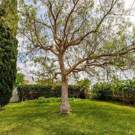 Casa Azul And Countryside